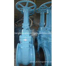 API Flange End Gate Valve com aço carbono RF